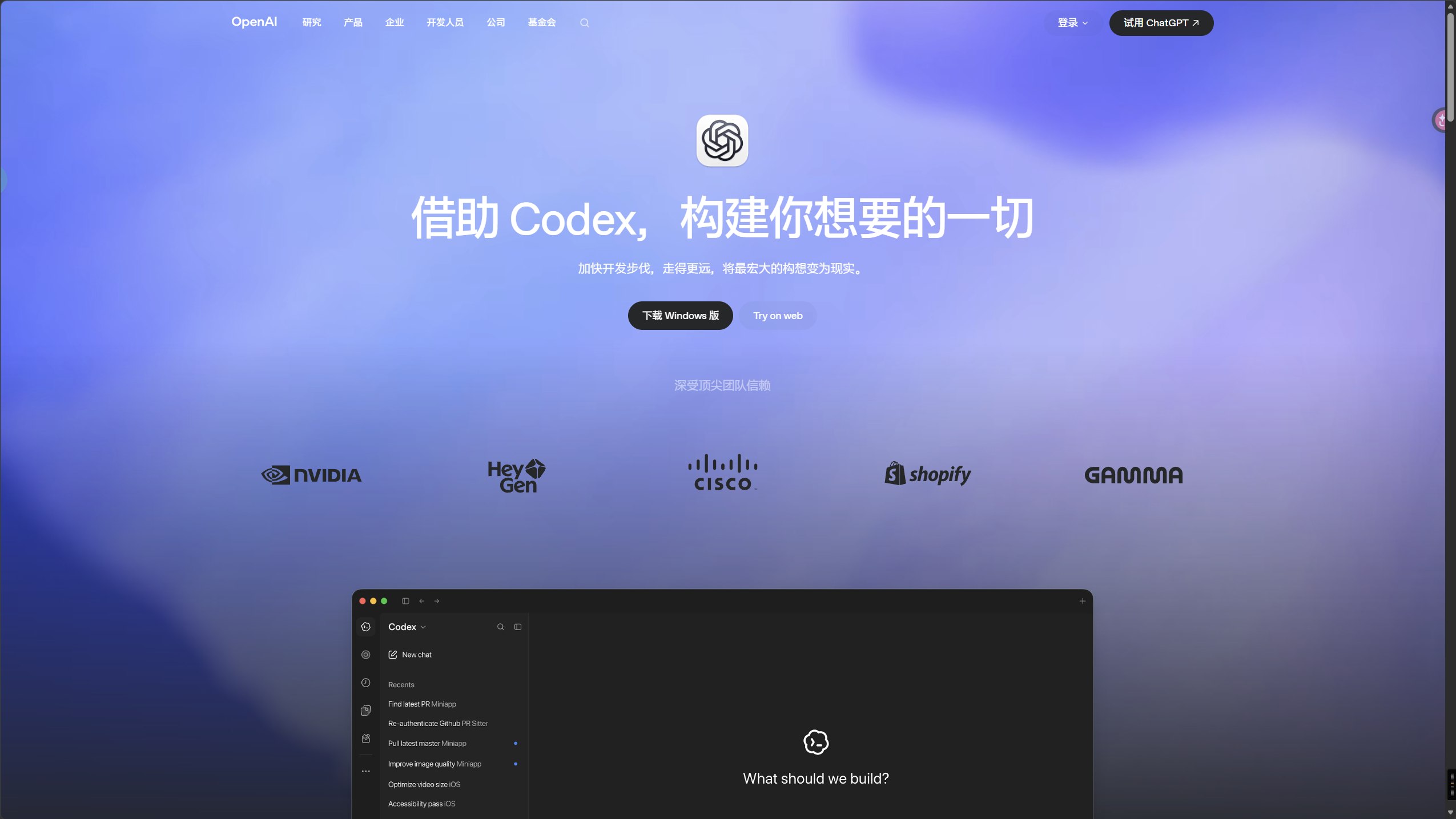 Codex 和 DSH 的安装与模型配置